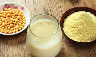 豆粉怎样储存 豆粉如何储存