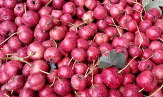 山楂怎样储存好 山楂如何保存