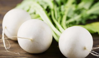 白萝卜怎样储存 白萝卜储存方法