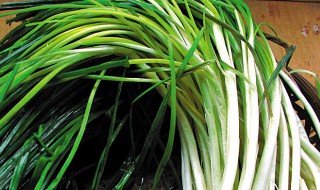 荞菜怎样储存 荞菜如何储存