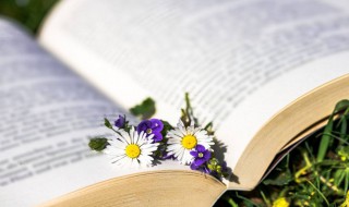 捋一捋是什么意思 捋一捋解释