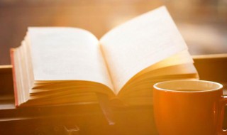 笨是什么意思 笨的含义