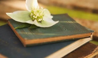 伯牙绝弦谓的意思 伯牙绝弦谓的含义