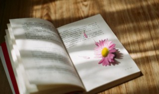 效益的意思 效益有什么含义