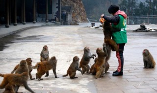 毫无顾忌的意思 毫无顾忌的意思解释