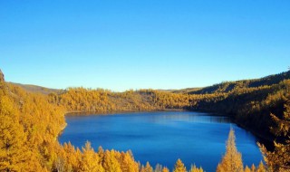 踪影的意思 踪影的意思解释