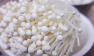 金针菇怎么做好 金针菇如何做好吃
