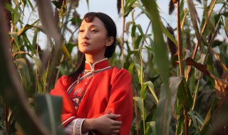 红高粱小说简介 红高粱内容简介