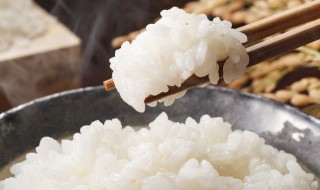 一个人煮干饭要怎么煮 一个人煮干饭要如何煮