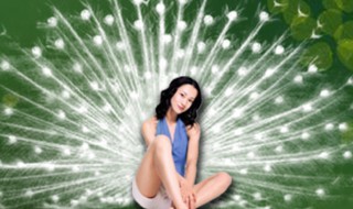 孔雀女是什么意思 孔雀女指的是什么