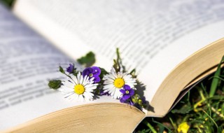 徒然是什么意思 徒然解释