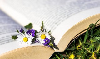 网名高冷有深度的 网名高冷霸气十足