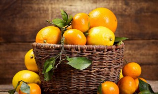 耙耙柑保存温度 耙耙柑保存什么温度