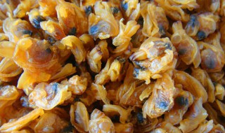 蛤蜊干怎么吃 蛤蜊干怎样做好吃