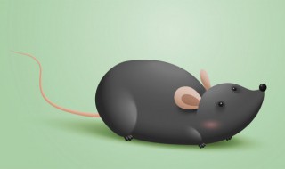 梦到死老鼠 梦见死的老鼠啥意思呢