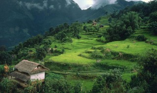 描写乡村美景的短句子 描写乡村美景的短句子有哪些