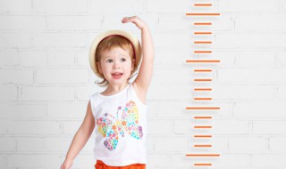 三七粉长高的正确吃法 三七粉长高怎么吃