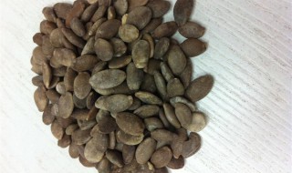 瓜蒌子哪些人不能吃 瓜蒌子的禁忌人群