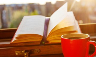 关于拼博的励志句子 关于拼博的励志句子有什么