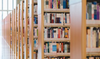 仔细的仔怎么组词 仔的词语