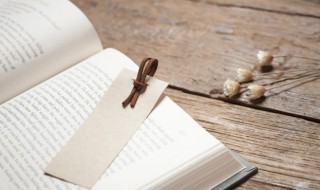 无人用的吃鸡二字id 无人用的吃鸡二字id介绍