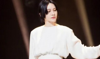 尚雯婕谭维维事件 关于尚雯婕谭维维事件相关资料