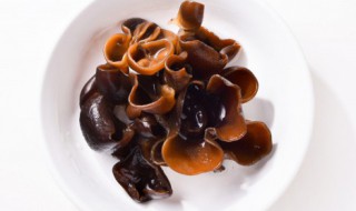 木耳和豆腐可以一起吃吗 木耳和豆腐能不能一起吃