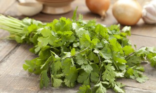 怀孕能吃香菜吗 孕期能不能吃香菜