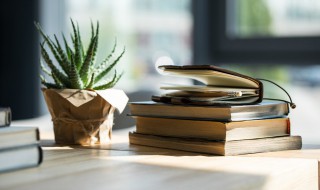 白居易曾用绿蚁新酷酒红泥小火炉待客绿蚁是指 问刘十九诗句欣赏