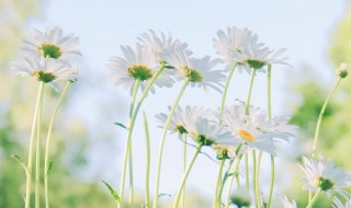 励志变美的句子 励志变美的句子集锦