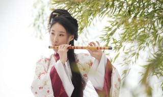 形容杏花的优美诗句 关于形容杏花的优美诗句