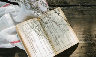 关于道歉认错的话 说错话了怎么道歉