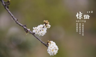 惊蛰可以吃橙子吗 能不能在惊蛰吃橙子