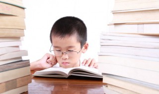 似的组词和成语 似怎么组词和成语