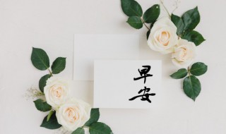 早安精致的句子 盘点早安精致的句子