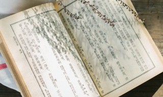 记念刘和珍君概括 记念刘和珍君内容概括