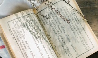 移居改姓始为良是什么意思 移居改姓始为良的意思