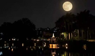 明明如月何时可掇什么意思 明明如月何时可掇介绍