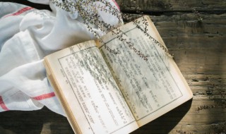 美成欲望川上富江是什么意思 美成欲望川上富江解释