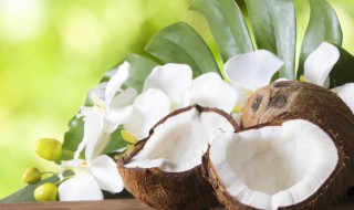 椰子的热量 椰子的热量有多少
