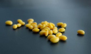 黄豆热量 黄豆的热量高吗