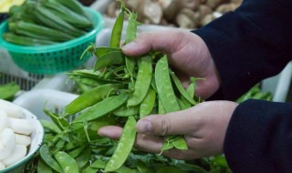 荷兰豆热量 荷兰豆热量介绍