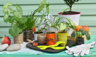 房间怎么除甲醛最快 房间如何除甲醛最快