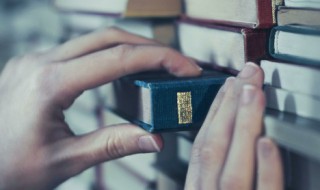 所言甚是什么意思 所言甚是啥意思