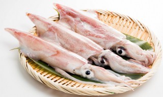 墨鱼炒什么好吃 制作墨鱼炒韭菜的方法