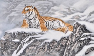 下山虎的含义 下山虎是什么意思