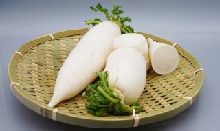 羊肉炖什么菜好吃 制作羊肉炖萝卜的方法