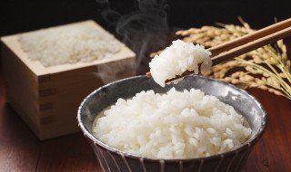 电饭锅怎样蒸米饭好吃 电饭锅怎样蒸米饭