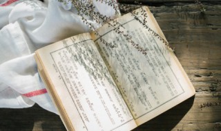 其的组词 其的组词有什么