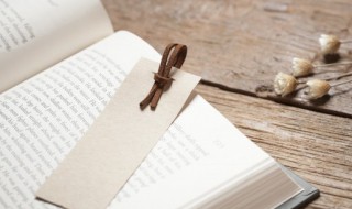 裆组词 裆组词有什么